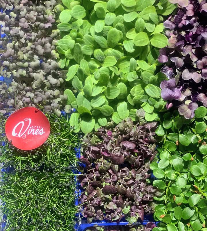 Micro Green