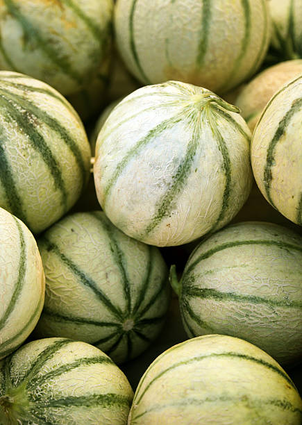 Melon cantaloup